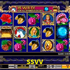 ssvv Salvador - Bonus Stats